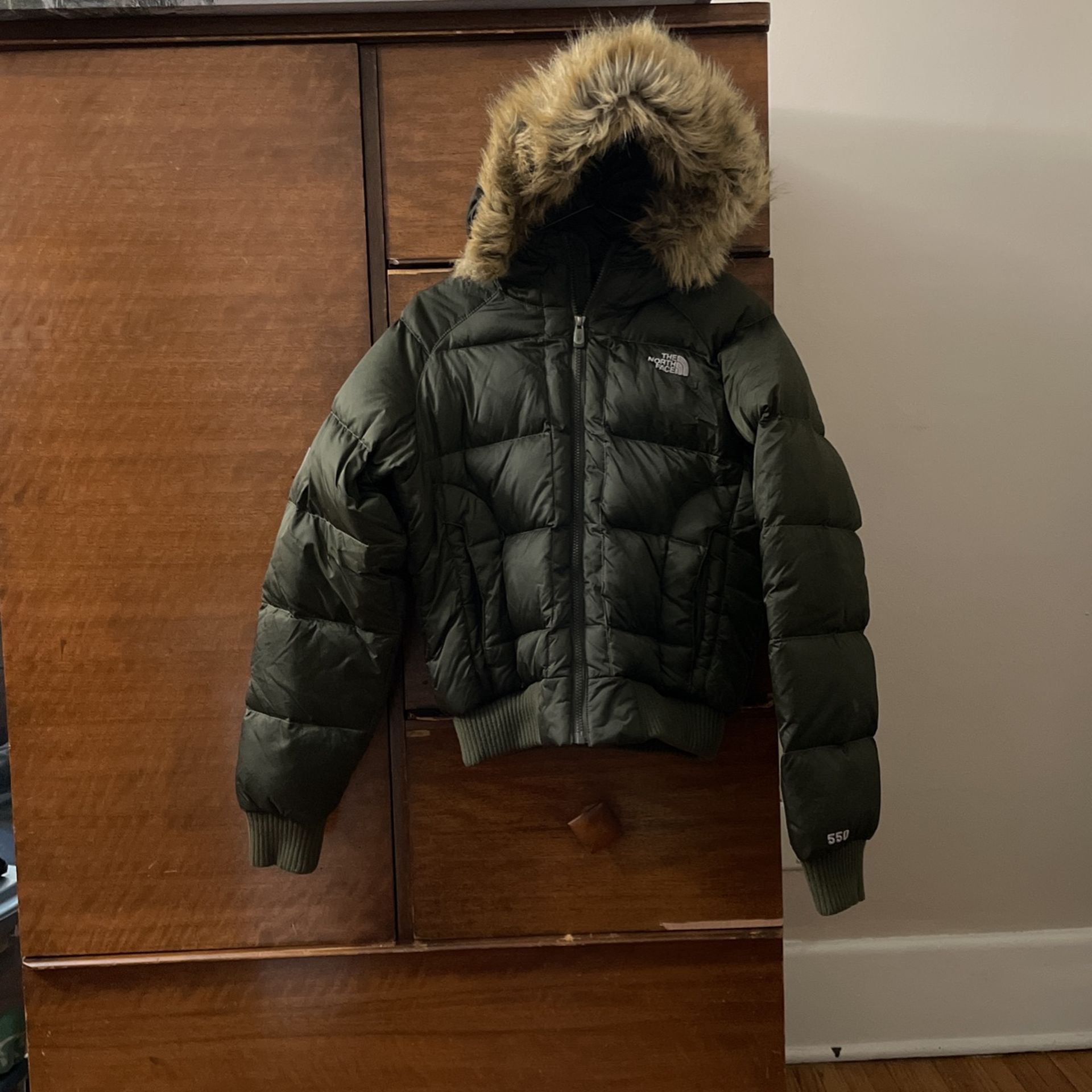 North face 550 Coat