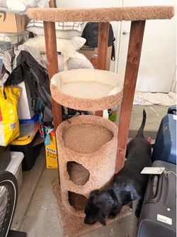 Cat tree heavy duty