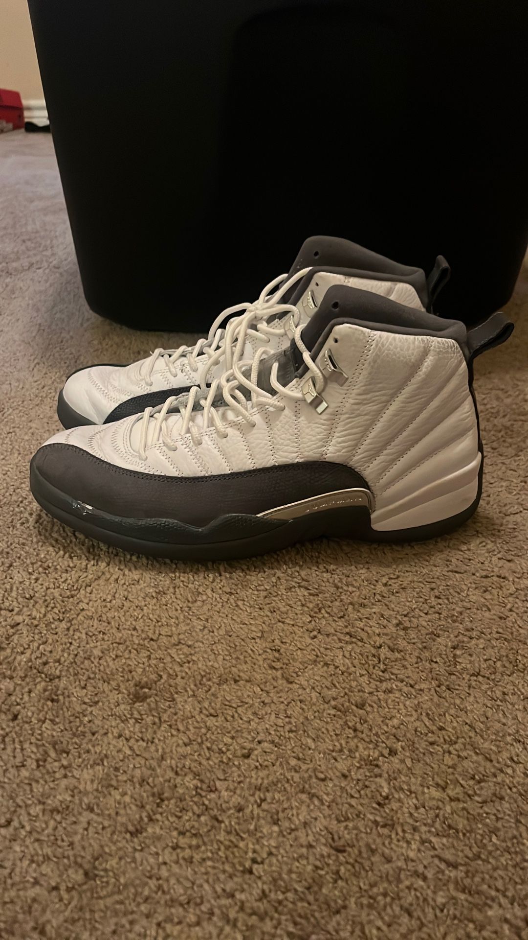 Jordan 12 Size 10.5