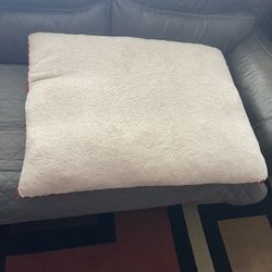 Dog Bed 