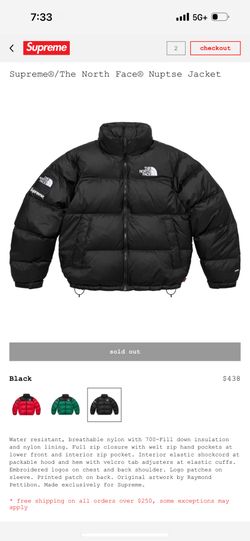 SUPREME X THE NORTH FACE NUPTSE