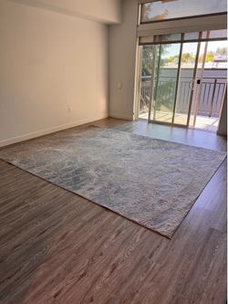 Area Rug 7’10” x 10’