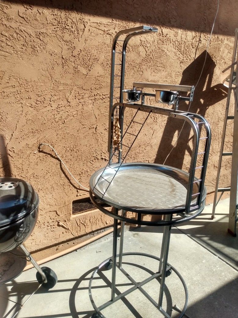 Bird Play Ground