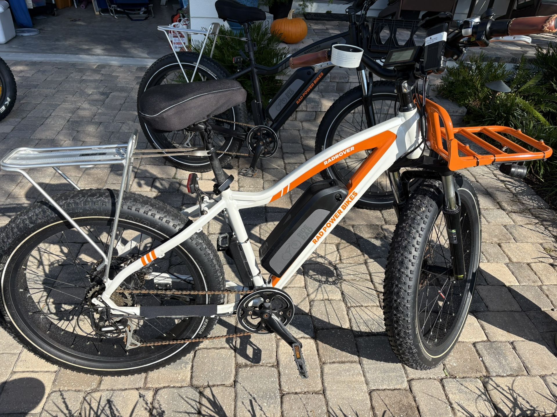 Electric Fat Tire Bike (2)