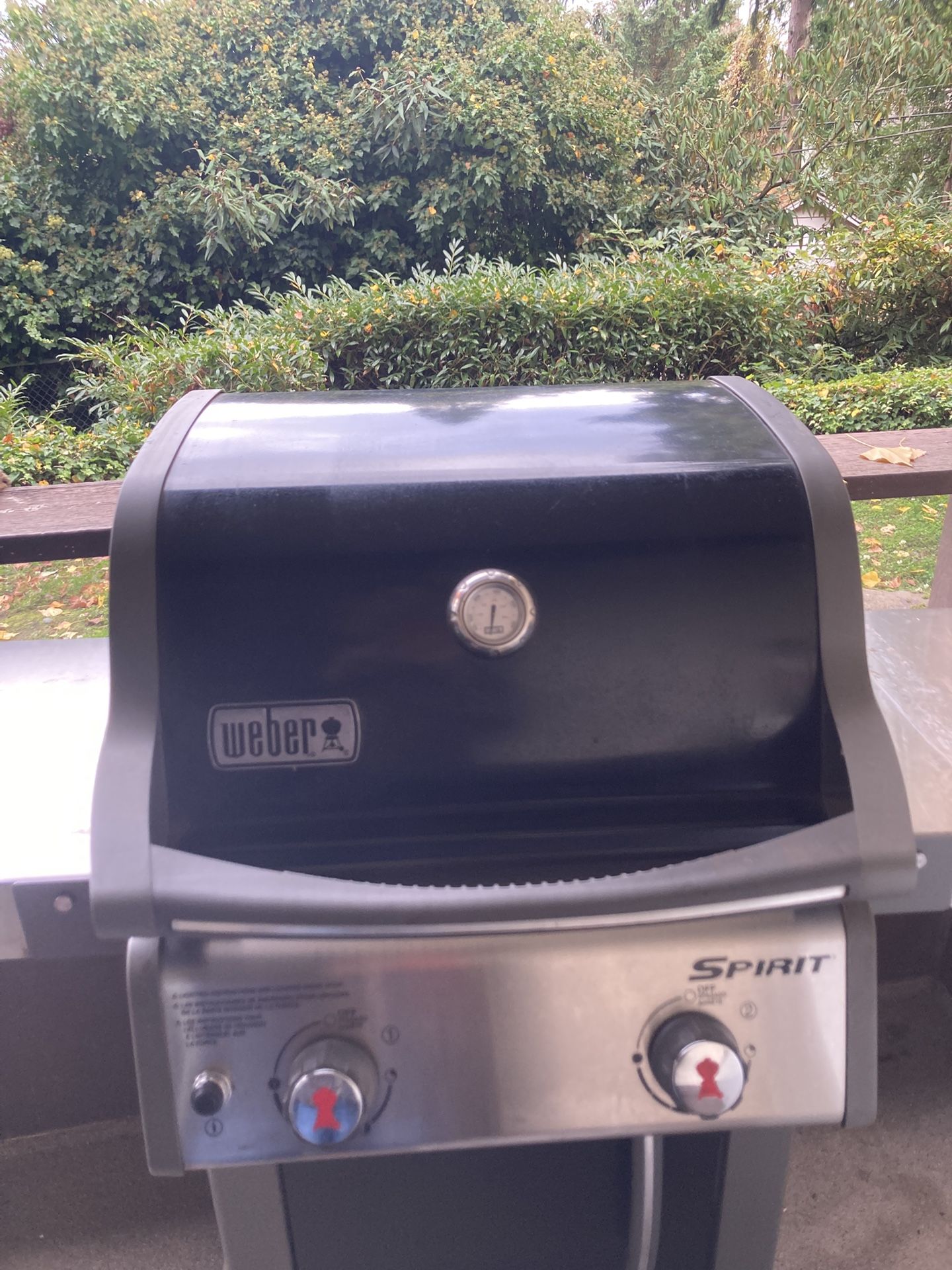 Weber Spirit E210 Propane Grill 
