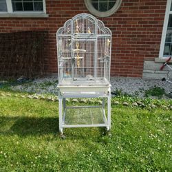 Bird Cage 