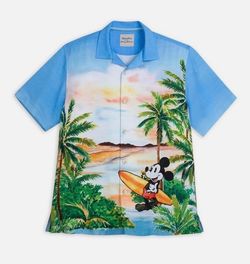 Disney park’s collection