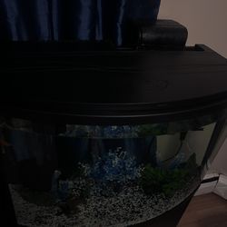 Fish Tank
