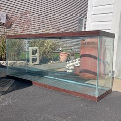Fish Tank 