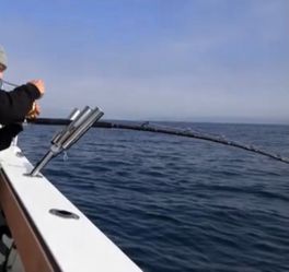 Trident Rod Holder