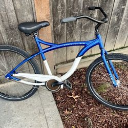 Burning Man Earth Cruiser Bike 