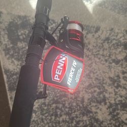 Penn Finishing Rod And Reel