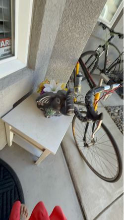 12 speed