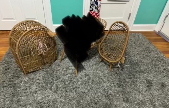 Doll Furniture
