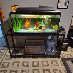 Two Fish Tanks