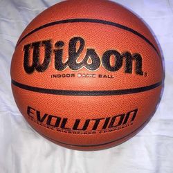 Wilson Evolution Basketball