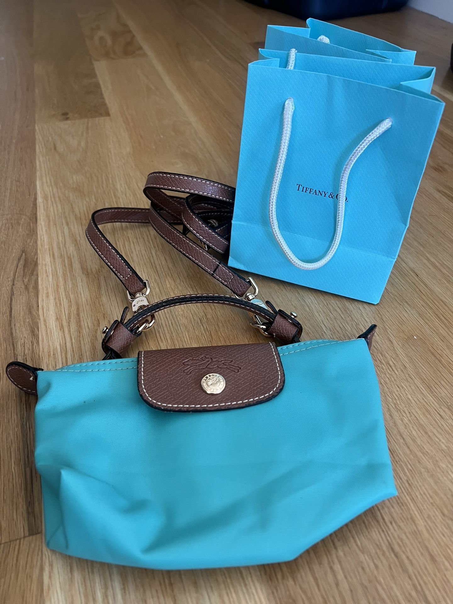 Long Champ Bag Mini