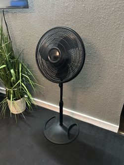Lasko Pedestal Fan
