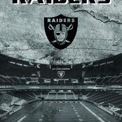 2 Tickets 🎟 🙌 Left Raiders Vs Cardinals 🎟🎟🏈🏈💺🏟🏟