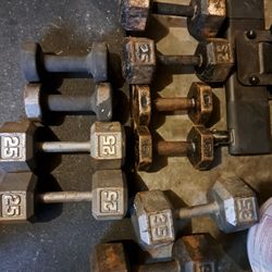 Free Weight Dumbells 10 & 12lbs