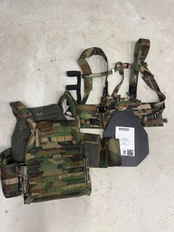 Plate carrier with plates