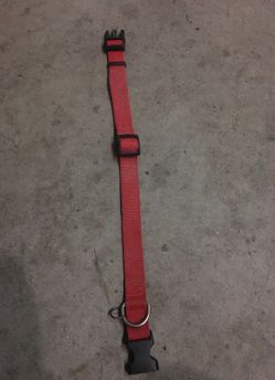 Dog collar