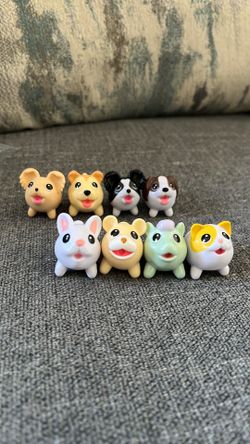 Chubby Puppies and Friends