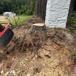 Stump Grinding 