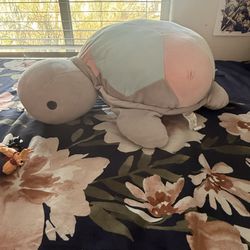 (PICKUP/LAS VEGAS LOCALS ONLY!!) Miniso Turtle Plush Throw Pillow 