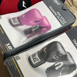Everlast 12oz Pro Style Training Boxing Gloves 