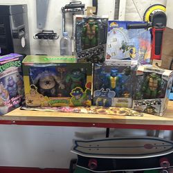 Teenage mutant ninja turtles