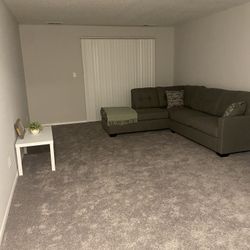 Gray Sectional 