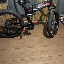 Electric Bike