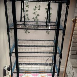 Greenhouse 