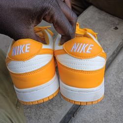 Dunks Size 5