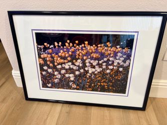 Framed Tulip Garden Photography Print