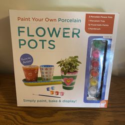 Nib Paint Your Own Porcelain Flower Pot Kit