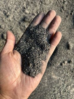 Turf Infill