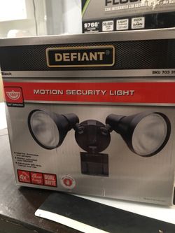 Motion security light