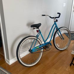$25  Beach Cruiser WORKS!
