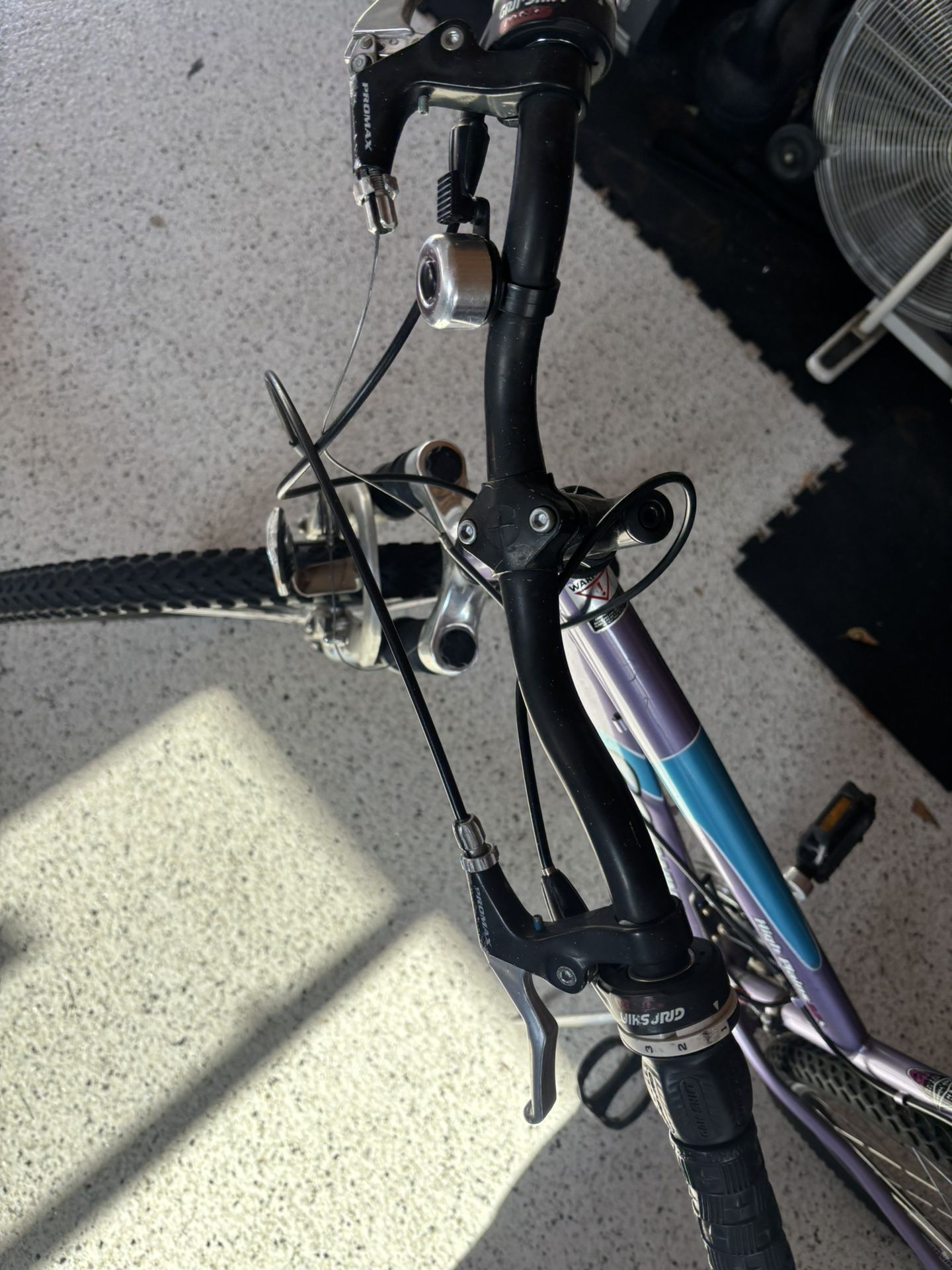 Girls Schwinn Bicycle