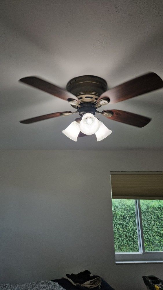 Fan Ceiling Flush Black Wood