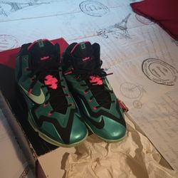 LeBron South Beach Sz12