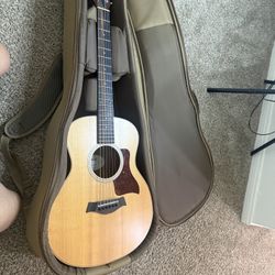 Taylor Gs Mini 