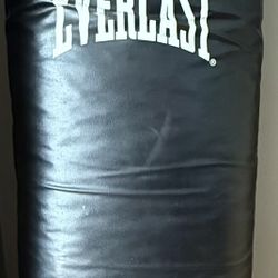 Everlast Punching Bag Ta:100