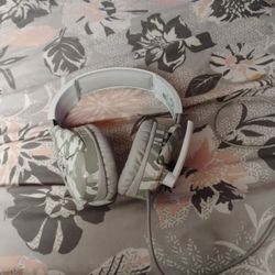 It's The Turtle Beach Headphones Used For Gaming