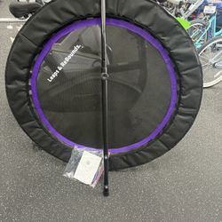 Leaps and ReBounds rebounder with handle bar
