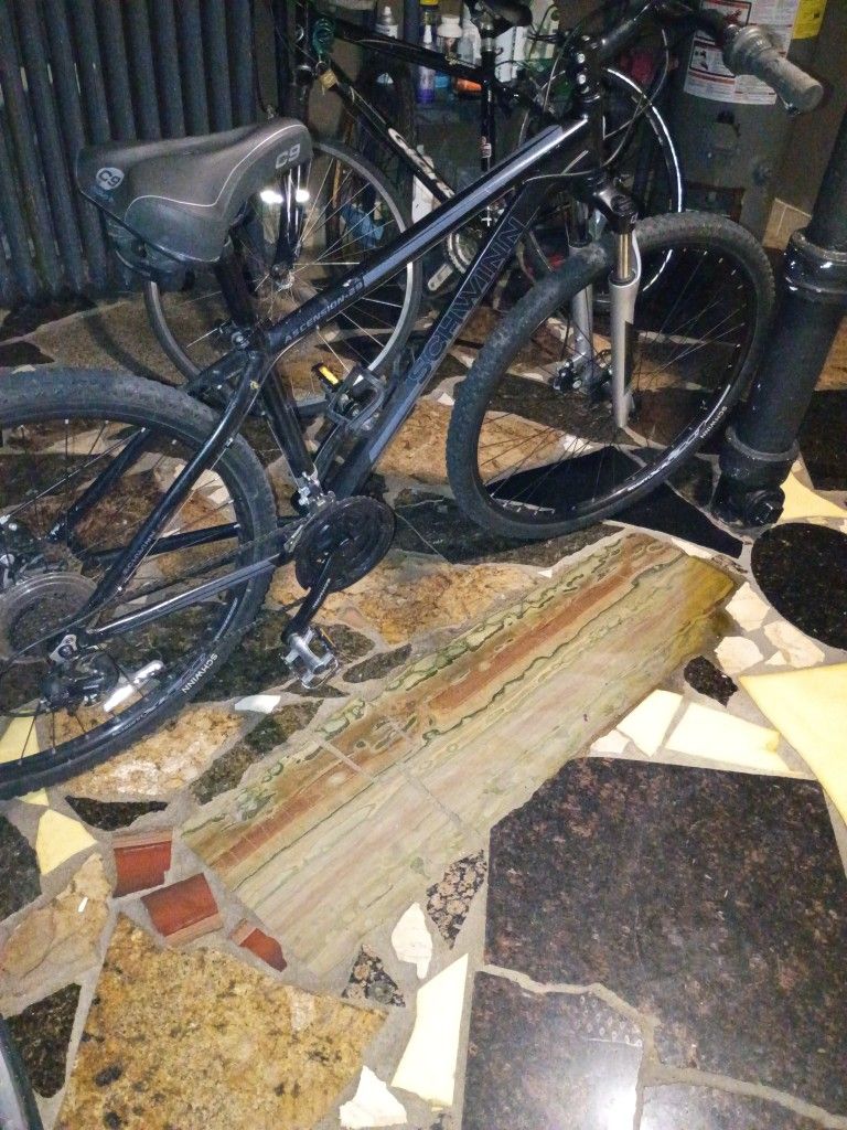 Schwinn Ascension 29