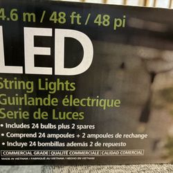 Feit Electric 48-foot LED String Light set  