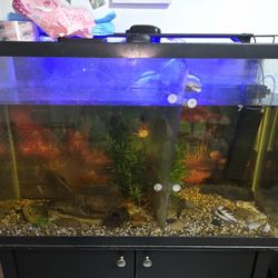 45 Gallon Fish Tank with Stand